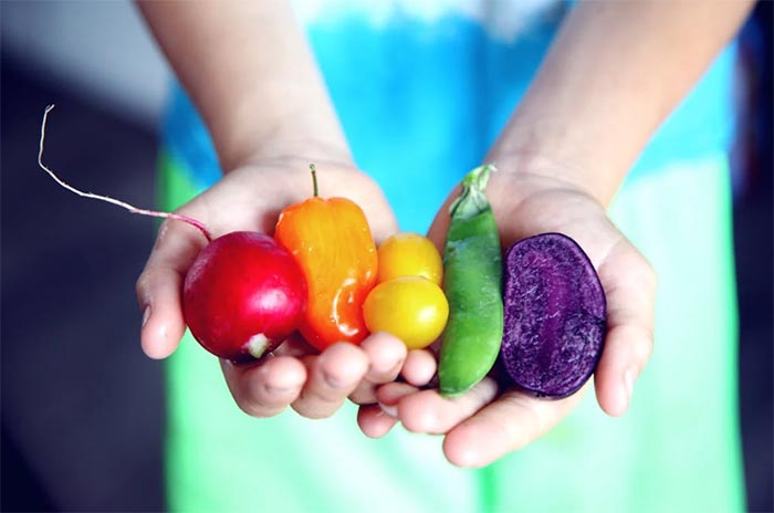 alimentos verdura