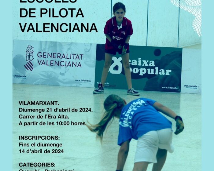 cartel pelota