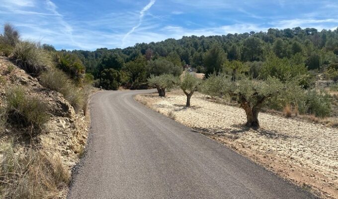 camino asfaltado Olocau