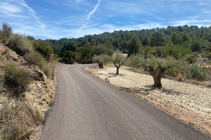 camino asfaltado Olocau