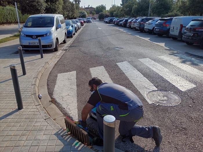 mosquito tigre l'Eliana