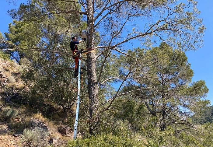 camaras incendios serra