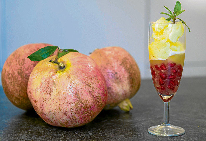 Sorbet de pinya al cava amb magrana